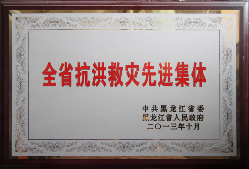 全省抗洪救灾先进集体