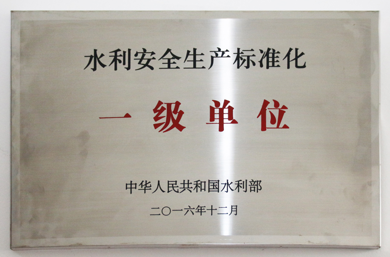 水利安全生产标准化一级单位
